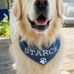 Bandana pour chien en coton jean bleu personnalisable