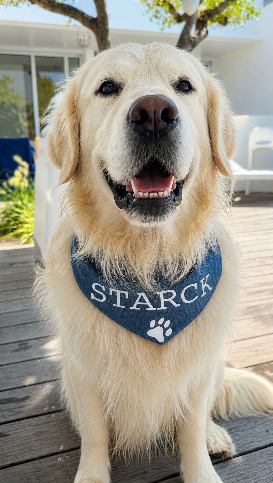 Bandana pour chien en coton jean bleu personnalisable